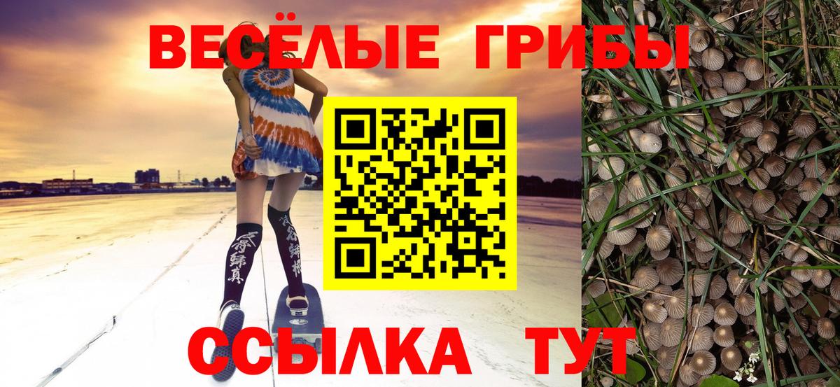 Галлюциногенные грибы прущие грибы Алушта