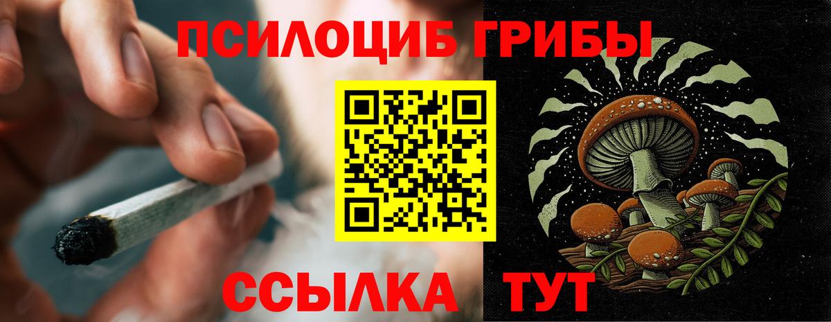 Алушта  Псилоцибиновые грибы GOLDEN TEACHER  Псилоцибиновые грибы GOLDEN TEACHER  Вход с VPN 